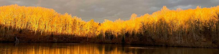 Virginia Adventures Dogwood Ultra Marathons